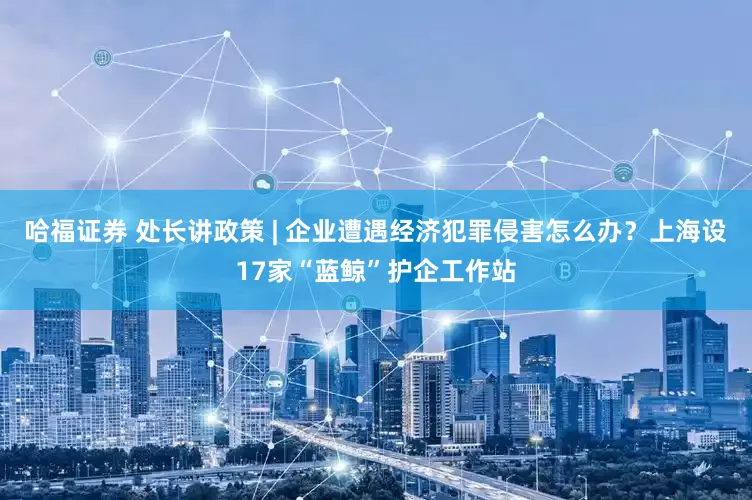 哈福证券 处长讲政策 | 企业遭遇经济犯罪侵害怎么办？上海设17家“蓝鲸”护企工作站