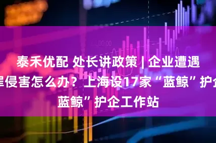 泰禾优配 处长讲政策 | 企业遭遇经济犯罪侵害怎么办？上海设17家“蓝鲸”护企工作站
