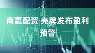 商赢配资 壳牌发布盈利预警