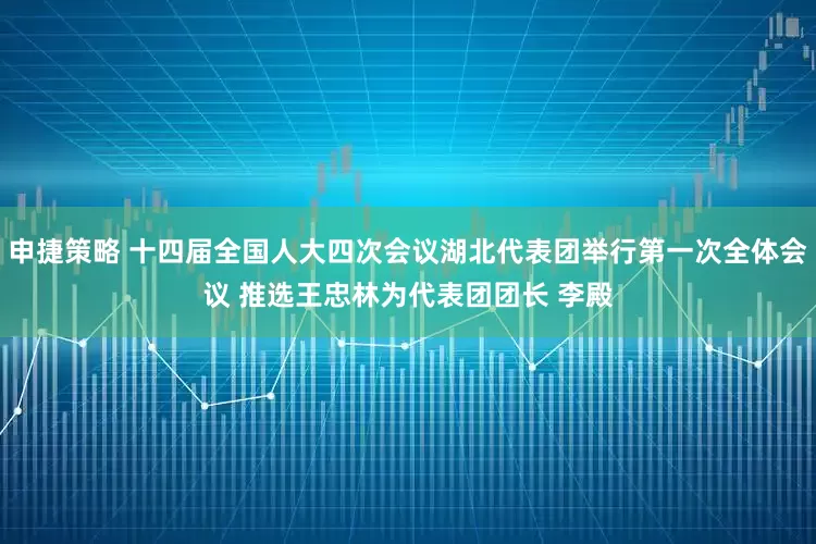 申捷策略 十四届全国人大四次会议湖北代表团举行第一次全体会议 推选王忠林为代表团团长 李殿